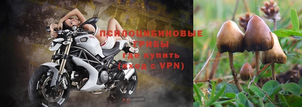 гашик Аркадак